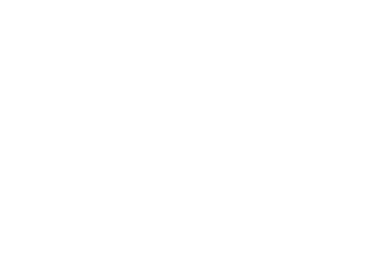 Porsche Black 1